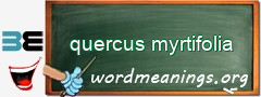 WordMeaning blackboard for quercus myrtifolia